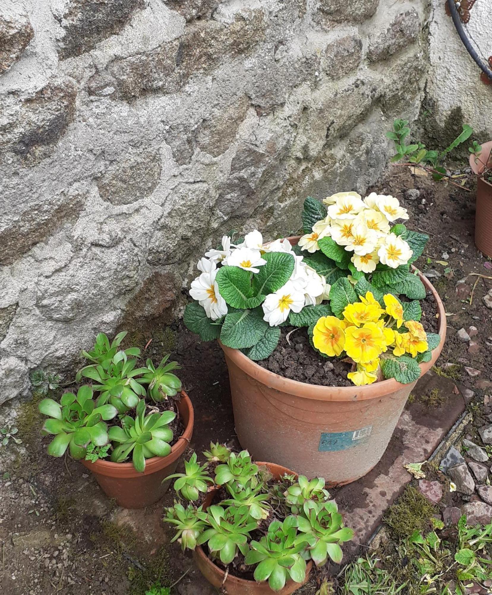 Wildberry Cottage Orgeres-la-Roche Luaran gambar